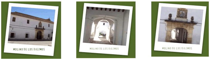 Molino